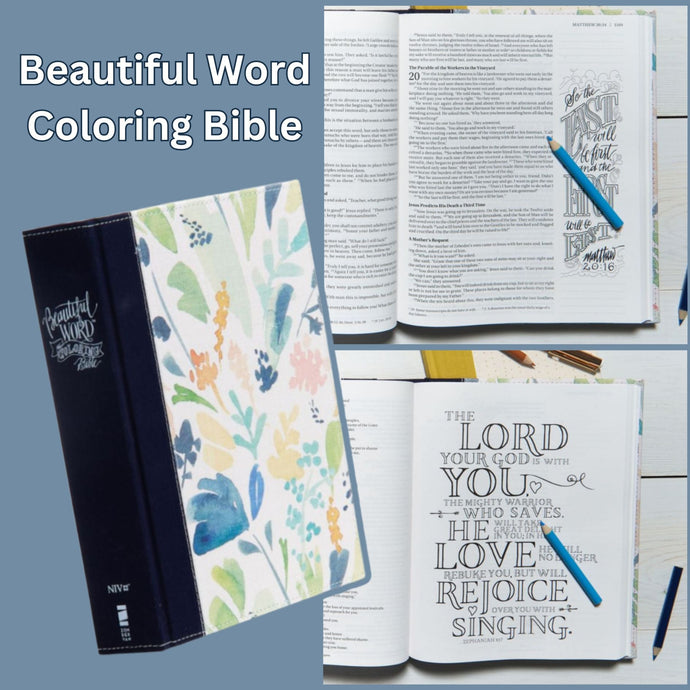 Bibles - Wide Assortment - Various Translations and Sizes - Blessed Be Boutique