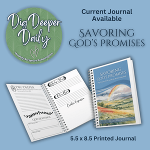 Dig Deeper Daily Journal Subscription - Blessed Be Boutique