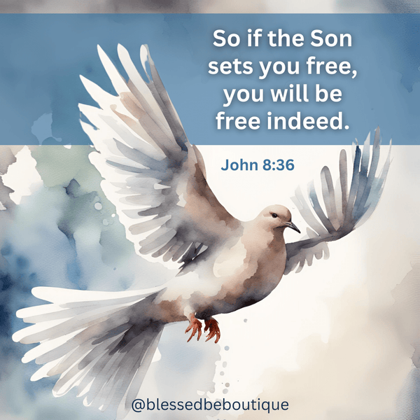 So if the Son sets you free, you will be free indeed